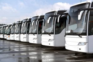 Minibus and Driver Rental