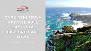 Cape Peninsula Private Full Day Tour