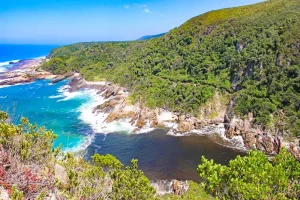 What Makes a Private Tour from Cape Town to Wilderness Unique