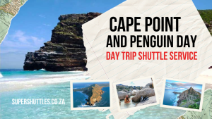 Cape Point And Penguin Day Trip Shuttle Service