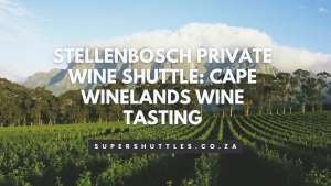 Stellenbosch Private Wine Shuttle Cape Winelands Wine Tasting