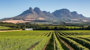 What is a Shuttle Service From Cape Town to Durbanville