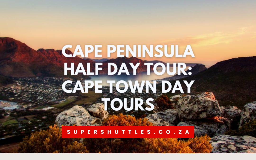 Cape Peninsula Half Day Tour Cape Town Day Tours