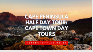 Cape Peninsula Half Day Tour Cape Town Day Tours