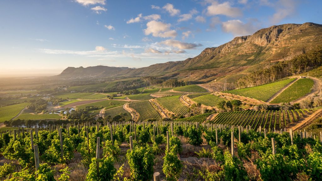 How to Choose the Best Half-Day Tour in Cape Town