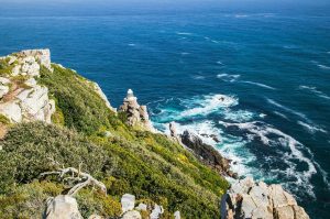 How to Prepare for Your Cape Peninsula Half Day Tour