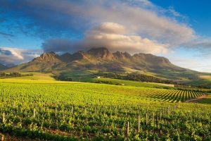 Winelands