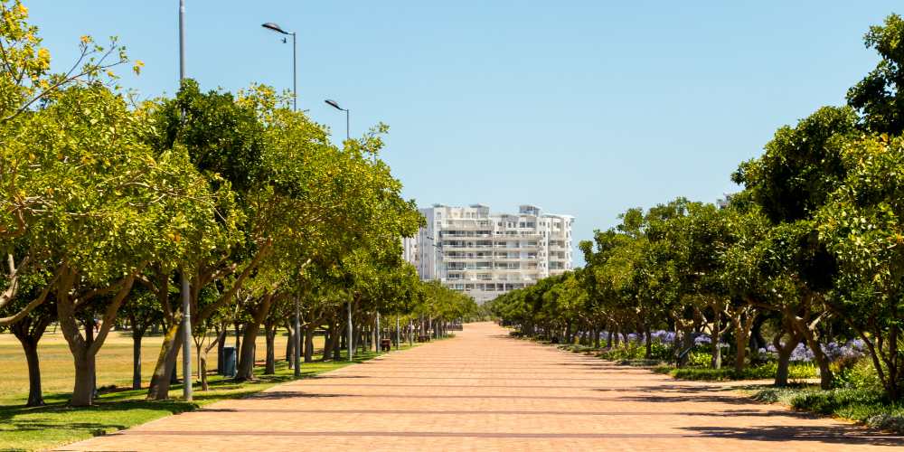 Green Point
